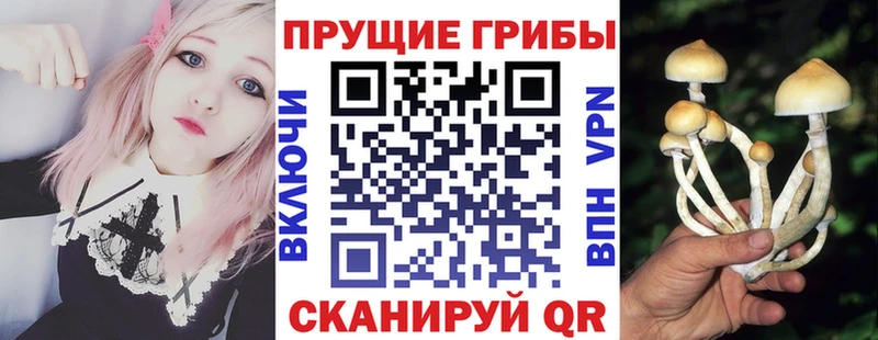 Галлюциногенные грибы прущие грибы  как найти   Красноперекопск 