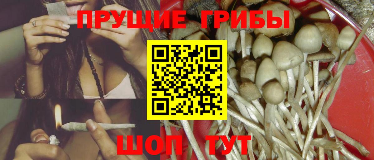 Галлюциногенные грибы Psilocybine cubensis  Псилоцибиновые грибы Magic Shrooms  Красноперекопск  Вход с VPN 