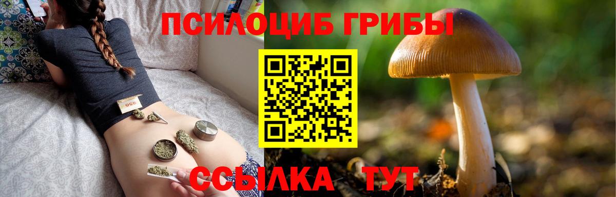 Галлюциногенные грибы мицелий Красноперекопск
